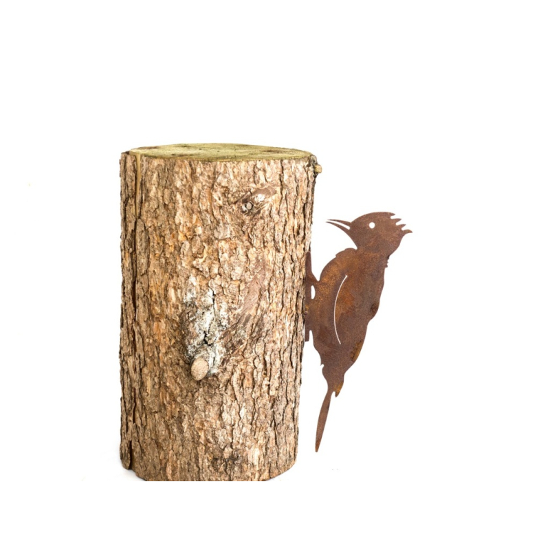 schroeffiguur specht