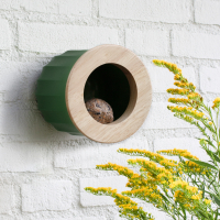 cactus vogel- en voederhuisje