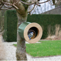 cactus vogel- en voederhuisje