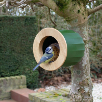 cactus vogel- en voederhuisje