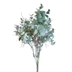 eucalypthus kunsttak