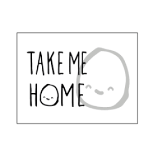 TAKE ME HOME