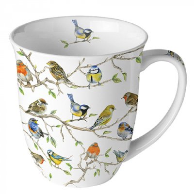 birds meeting, mok
