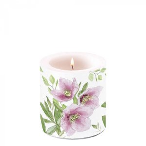 classic helleborus kaars classic helleborus kaars