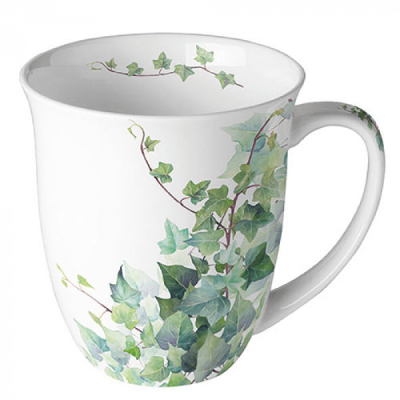 hedera mok