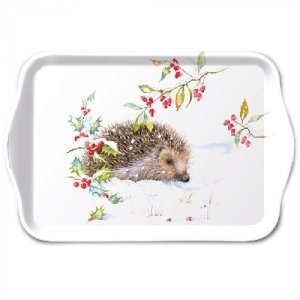 hedgehog in winter tray