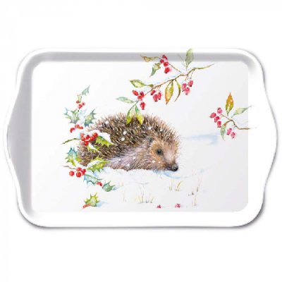 hedgehog in winter tray