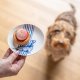 teckel Nhaan petit four bordje